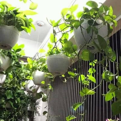 Lắp đặt lưới an toàn ban công tại Hà Nội